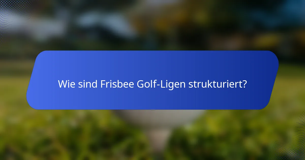 Wie sind Frisbee Golf-Ligen strukturiert?